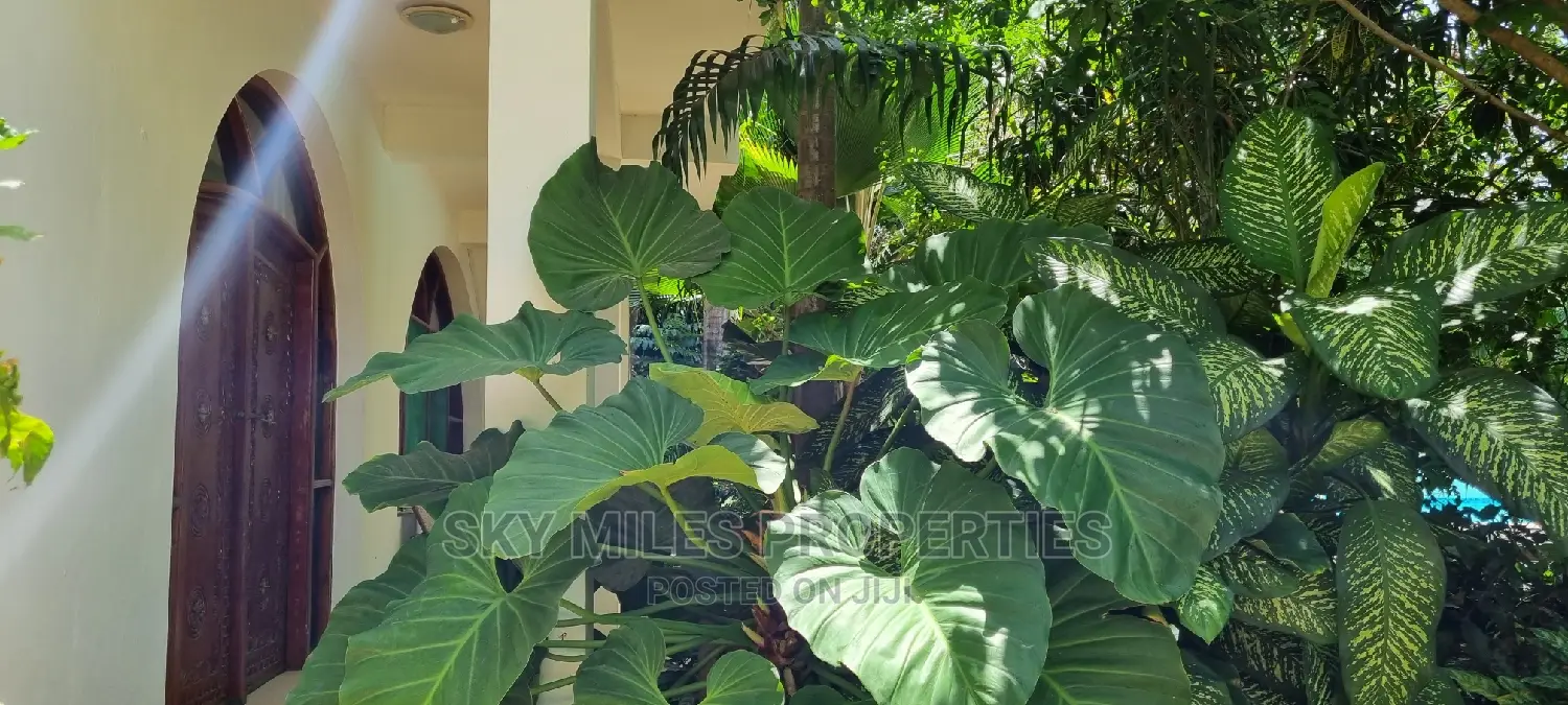 3-Bedroom Apartment to Rent in La-Marina, Mtwapa - Fully Furnished in Mtwapa