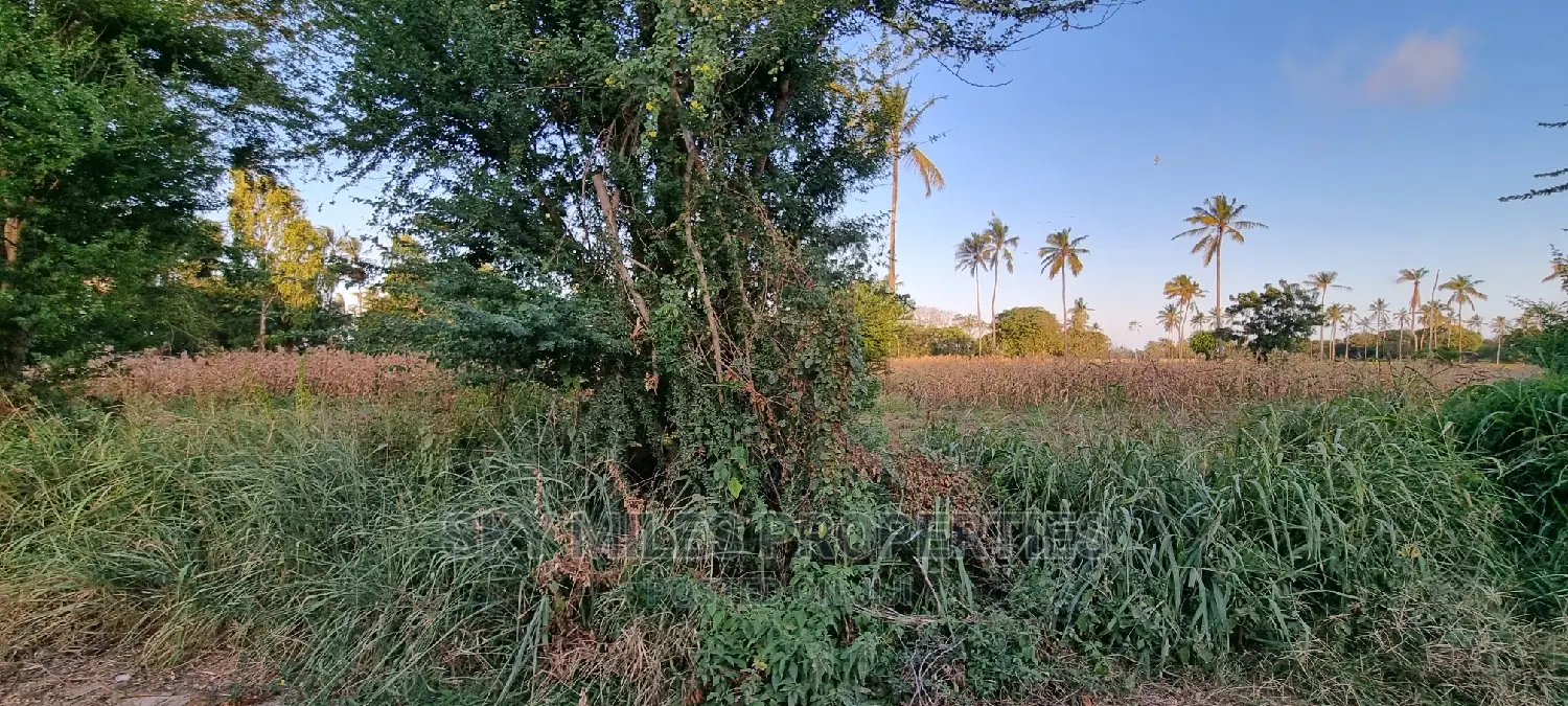 3-Acre Plot: Mtwapa Coca-Cola Area - For Sale in Mtwapa