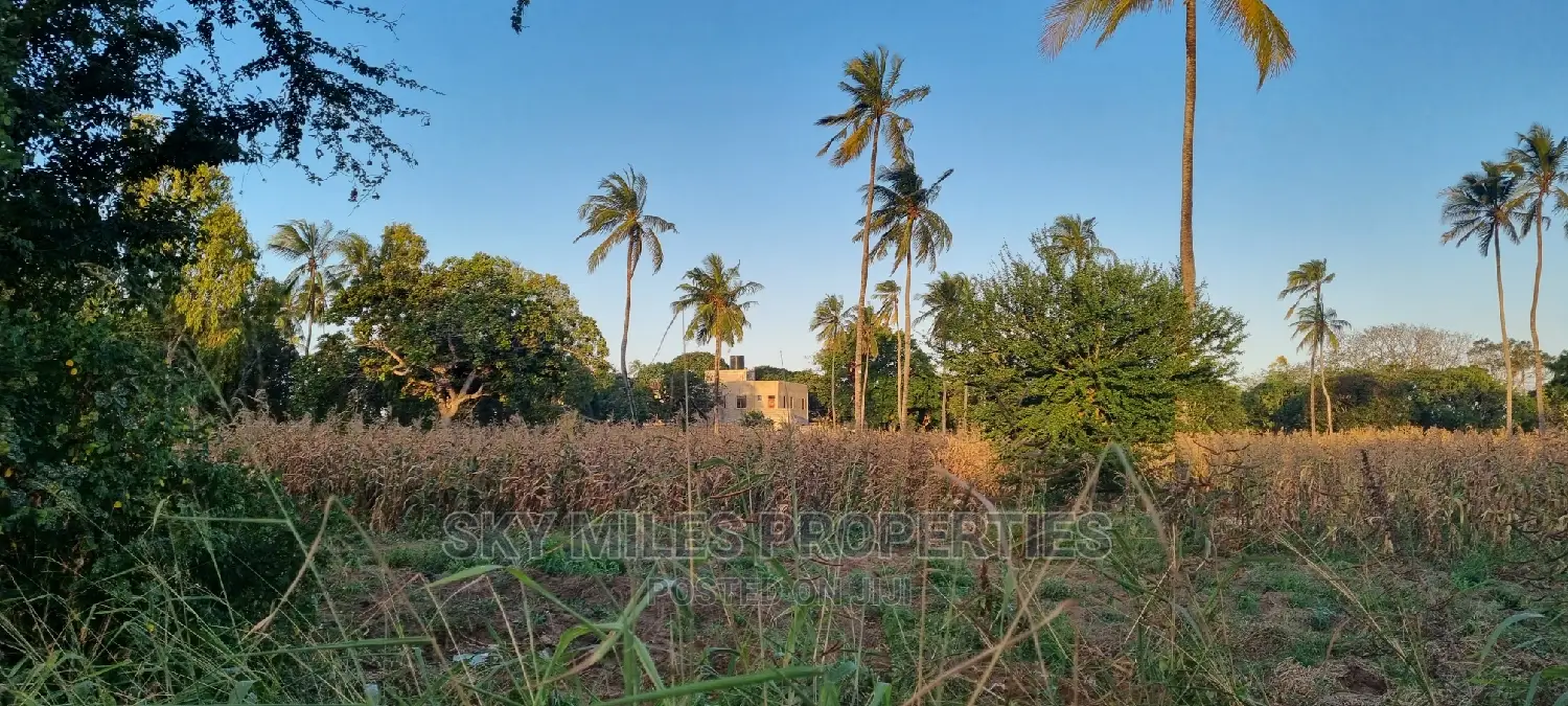 3-Acre Plot: Mtwapa Coca-Cola Area - For Sale in Mtwapa