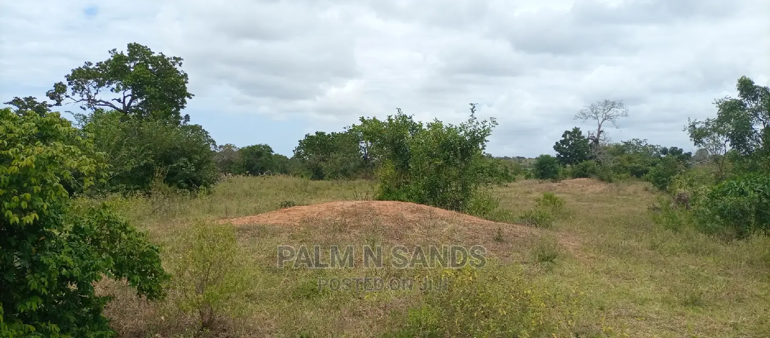 57-Acre Farming Opportunity in Lungalunga: Ideal for Agriculture or Livestock in Vanga