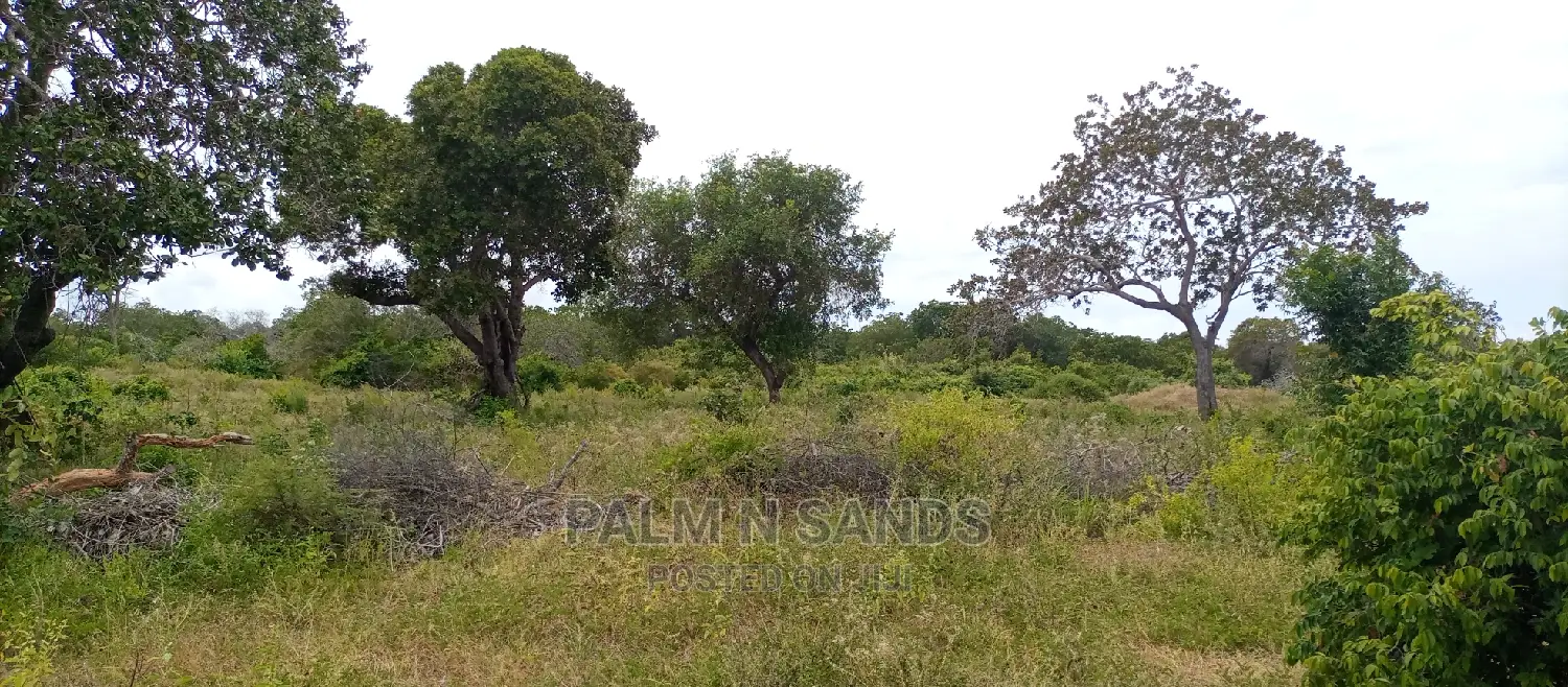 57-Acre Farming Opportunity in Lungalunga: Ideal for Agriculture or Livestock in Vanga