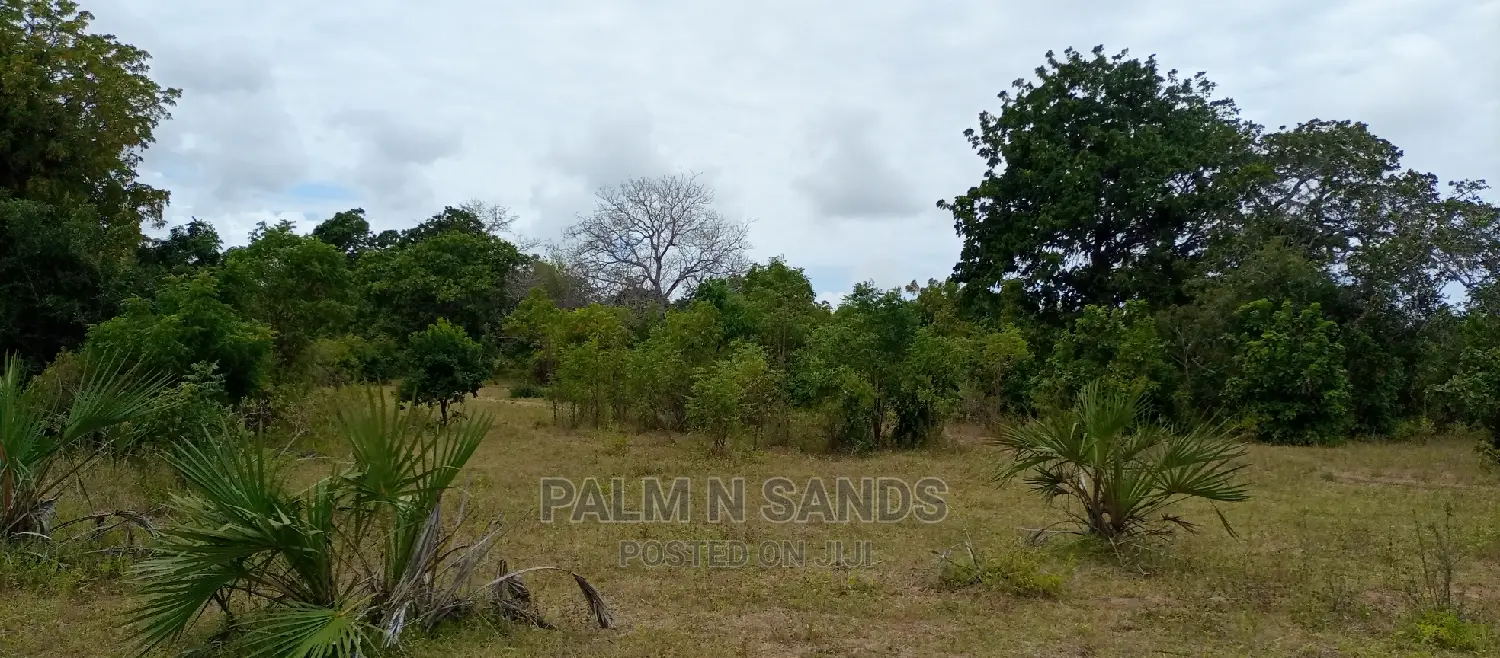 57-Acre Farming Opportunity in Lungalunga: Ideal for Agriculture or Livestock in Vanga