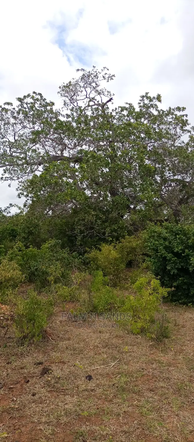 57-Acre Farming Opportunity in Lungalunga: Ideal for Agriculture or Livestock in Vanga