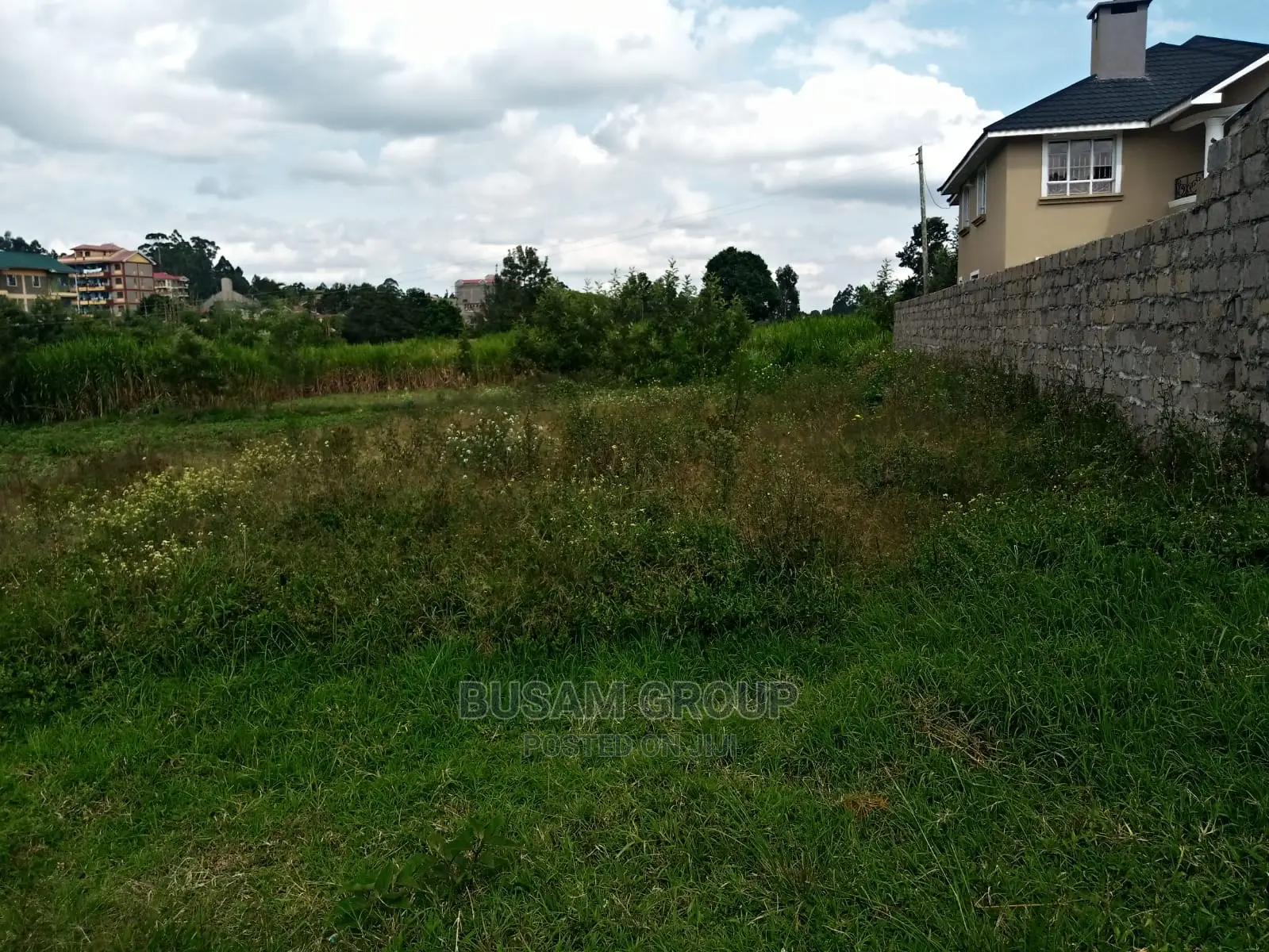50x100 Plot for Sale: Seize the Opportunity for Your Dream Property in Ngecha