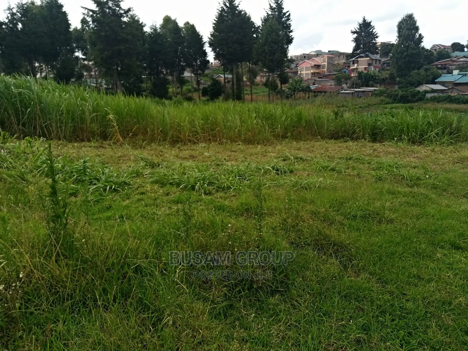 50x100 Plot for Sale: Seize the Opportunity for Your Dream Property in Ngecha