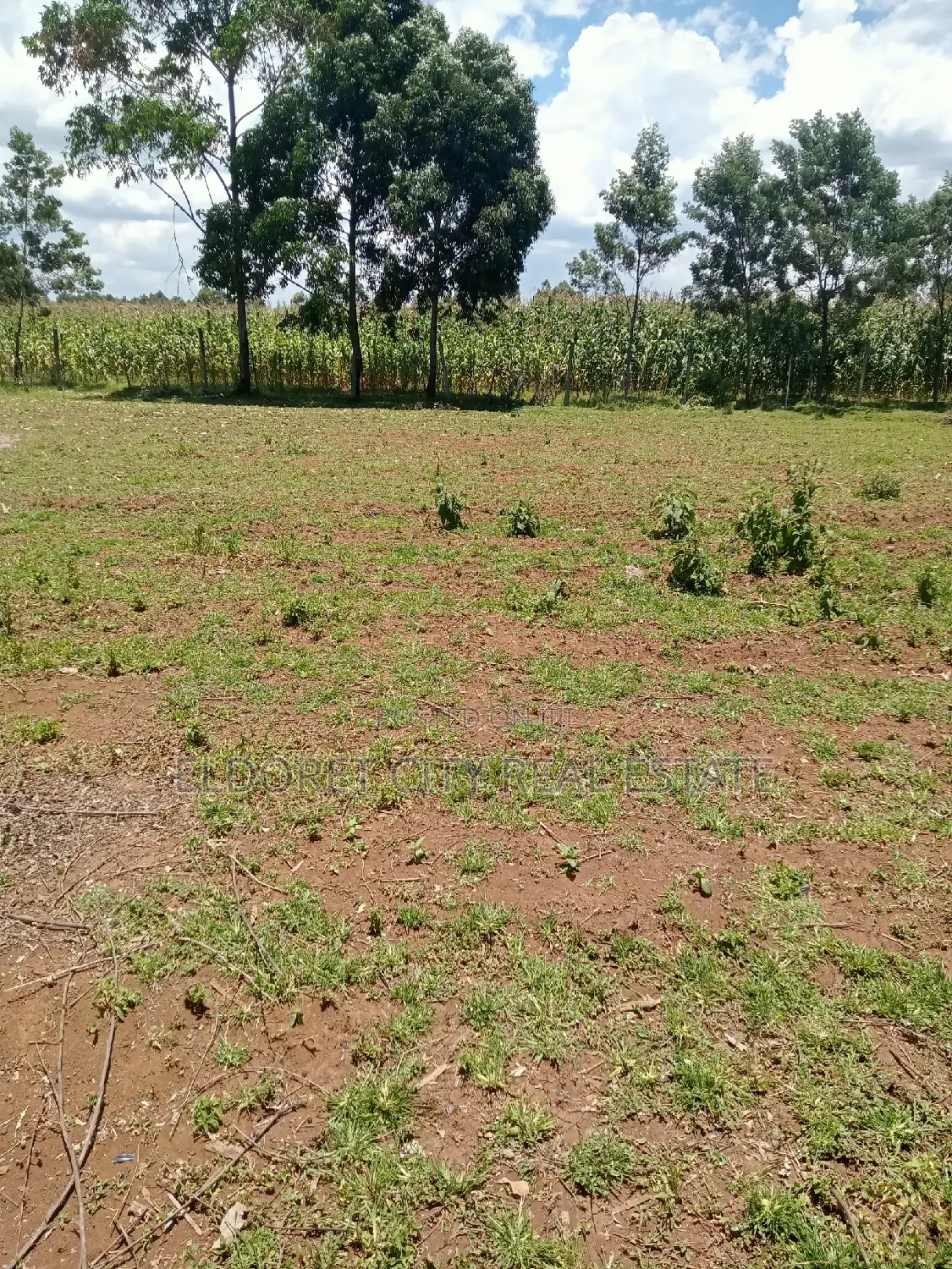 Spacious Plots in Chemazone Annex - 1/8 and 1/4 in Eldoret CBD