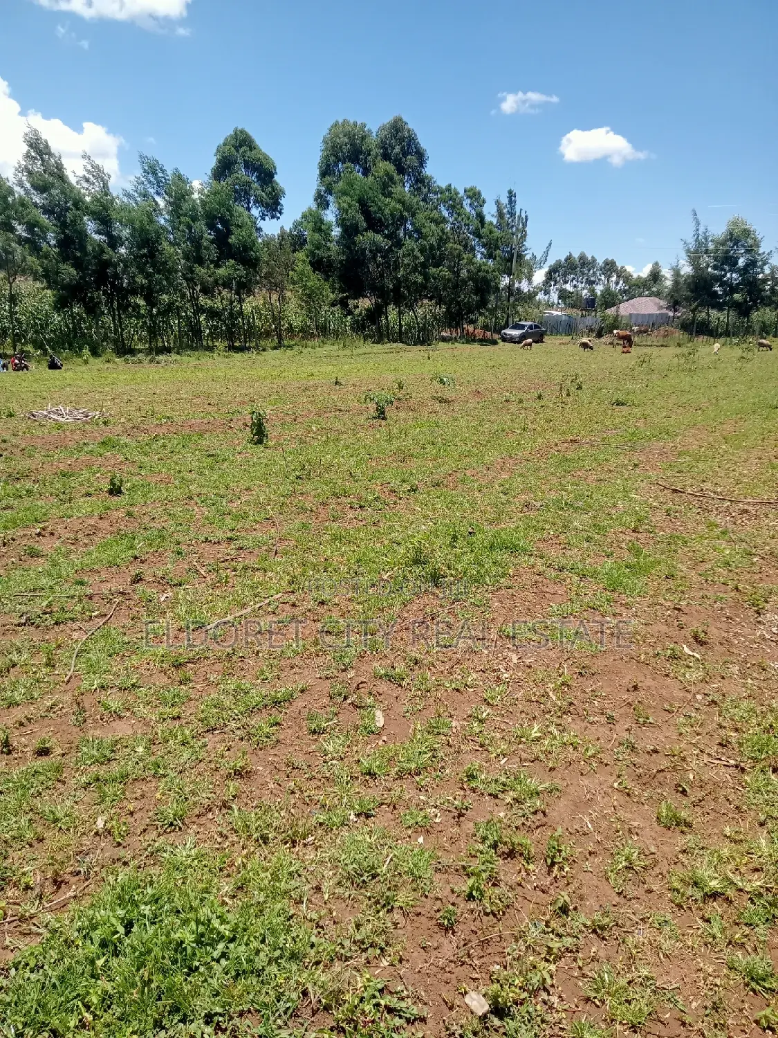 Spacious Plots in Chemazone Annex - 1/8 and 1/4 in Eldoret CBD