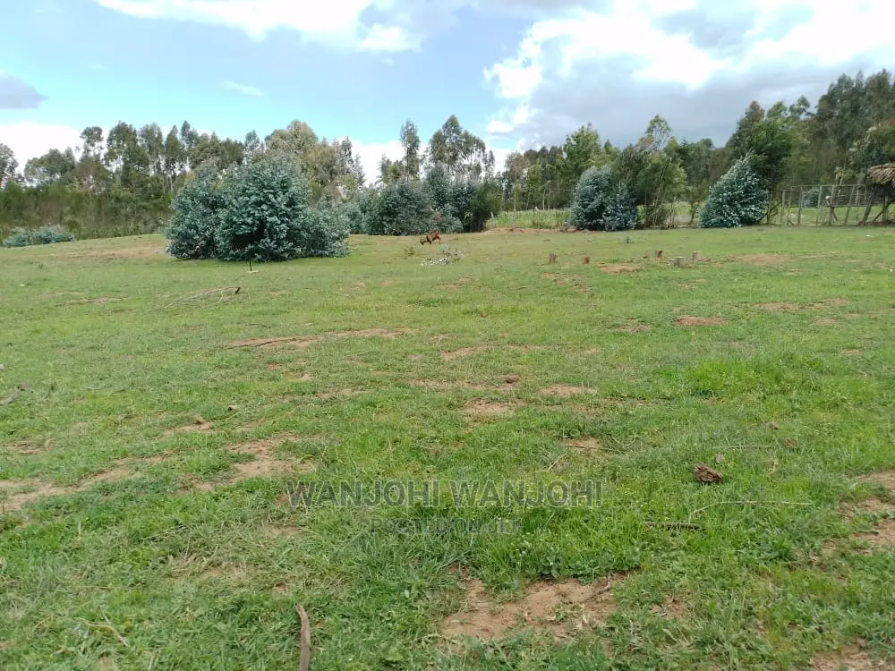 Tarmac-Proximate Prime Plots: Invest Today! in Weru