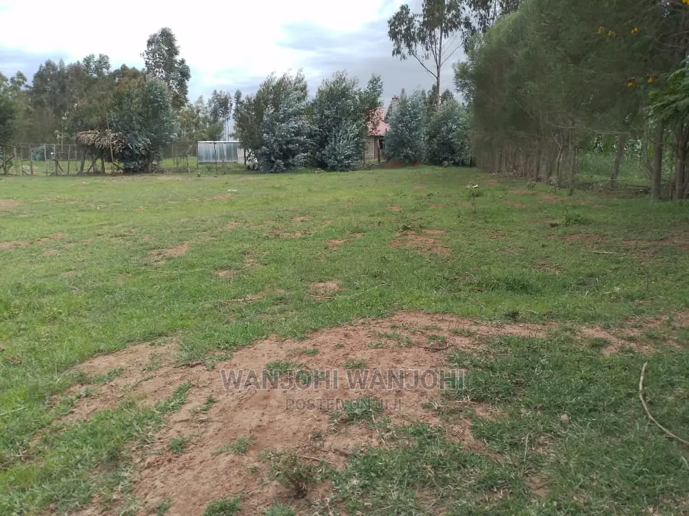 Tarmac-Proximate Prime Plots: Invest Today! in Weru