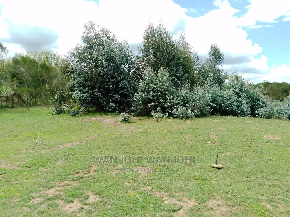 Tarmac-Proximate Prime Plots: Invest Today! in Weru