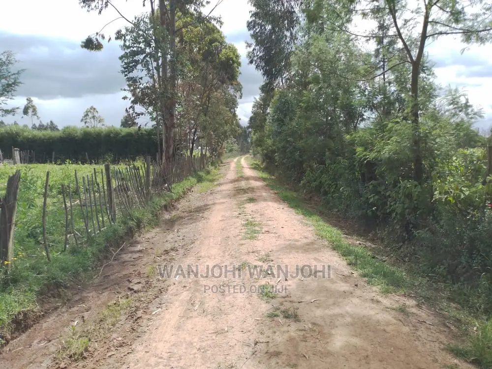 Tarmac-Proximate Prime Plots: Invest Today! in Weru