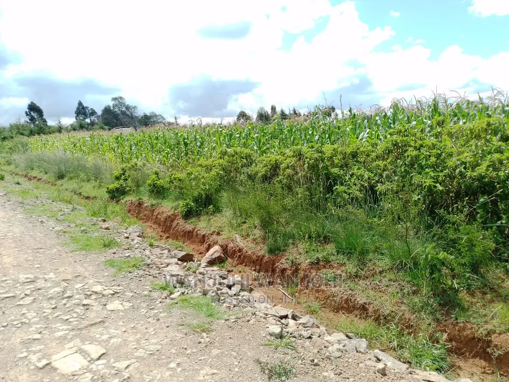 Unmatched Land Plots in Kasuku - Your Gateway to a Prosperous Future! in Igwamiti