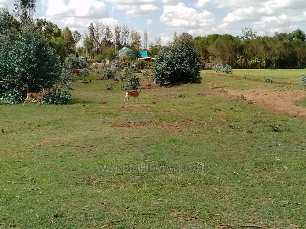 Unmatched Land Plots in Kasuku - Your Gateway to a Prosperous Future! in Igwamiti