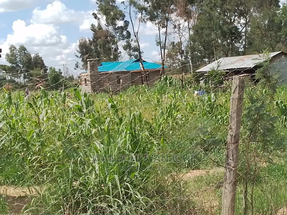 Unmatched Land Plots in Kasuku - Your Gateway to a Prosperous Future! in Igwamiti