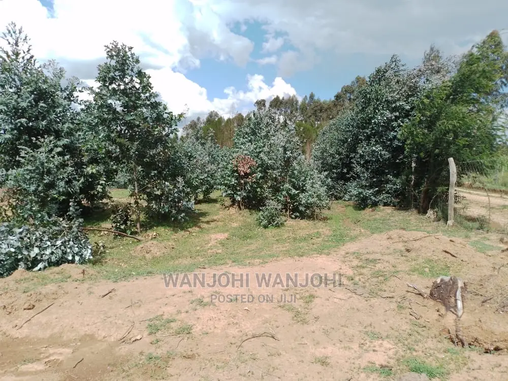 Discover Prime Land Opportunities in Nyandarua in Nairobi Central