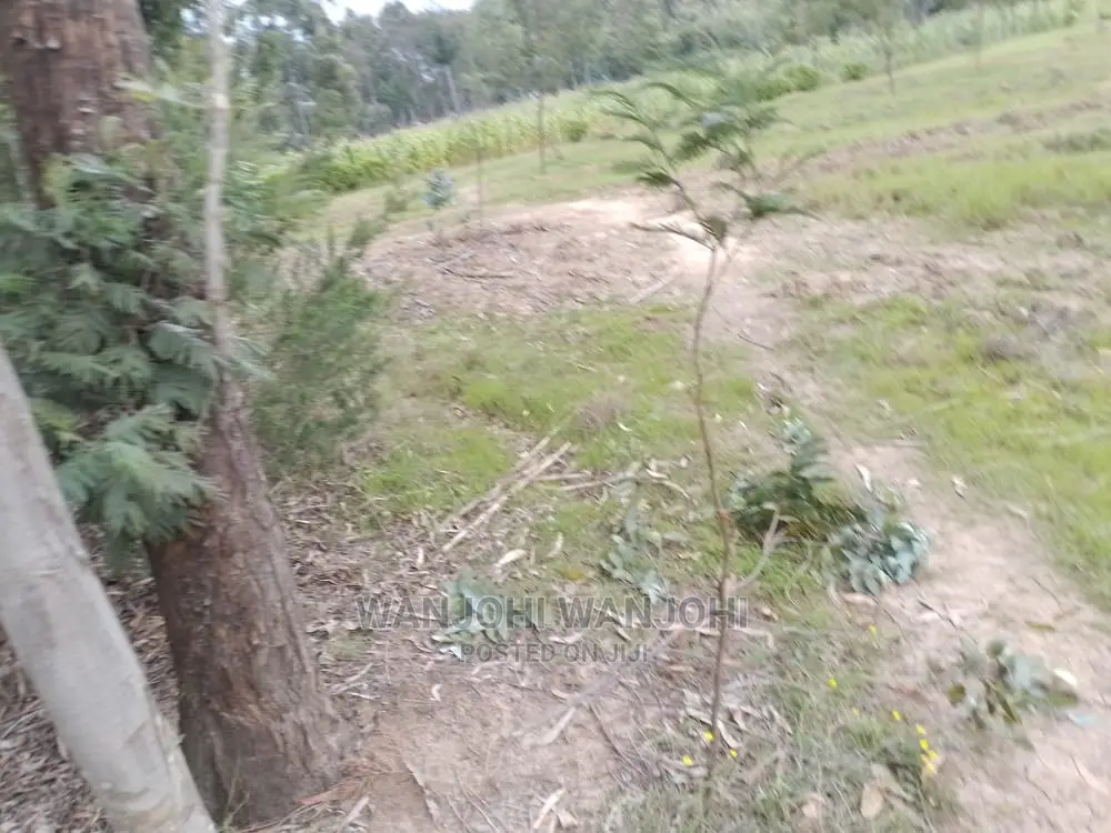Oljoroorok's Best Land Plots for Sale in Igwamiti