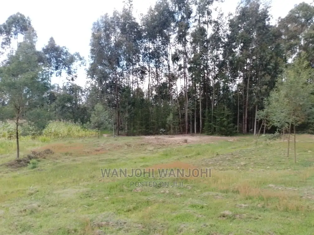 Invest in Prime Properties in Oljoro-Orok Today! in Karau