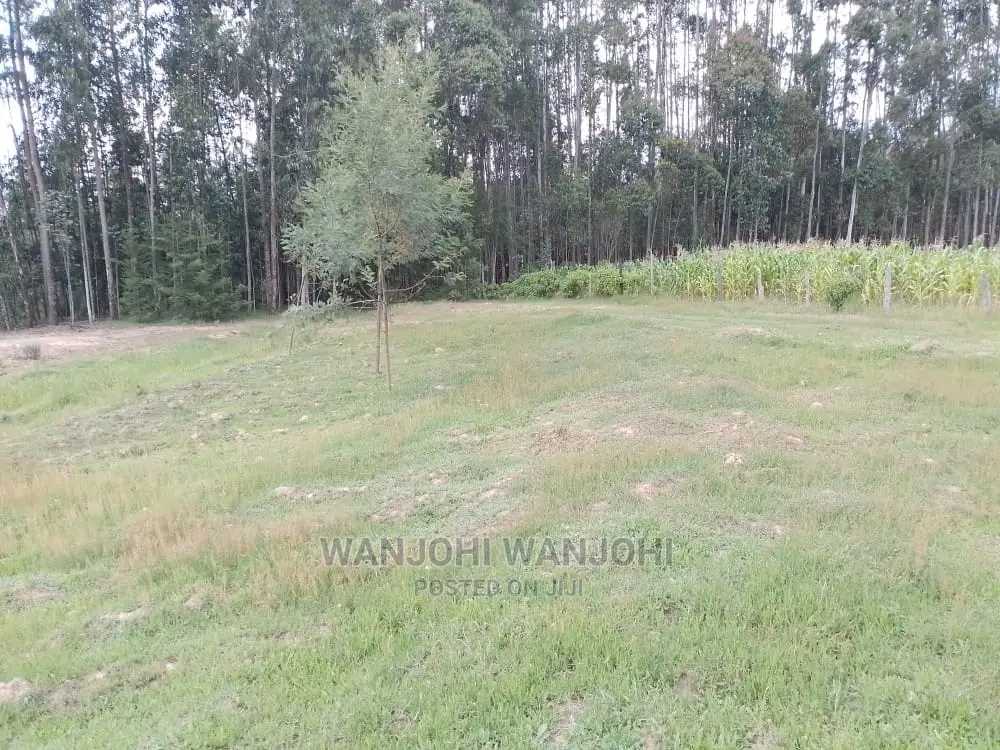 Invest in Prime Properties in Oljoro-Orok Today! in Karau