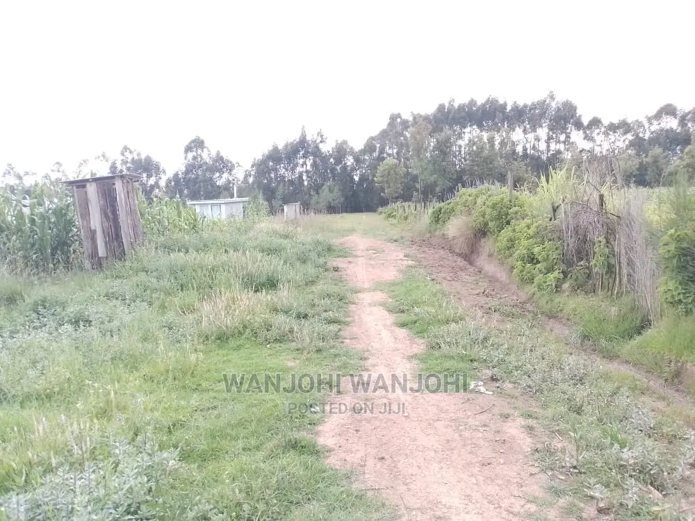 Invest in Prime Properties in Oljoro-Orok Today! in Karau