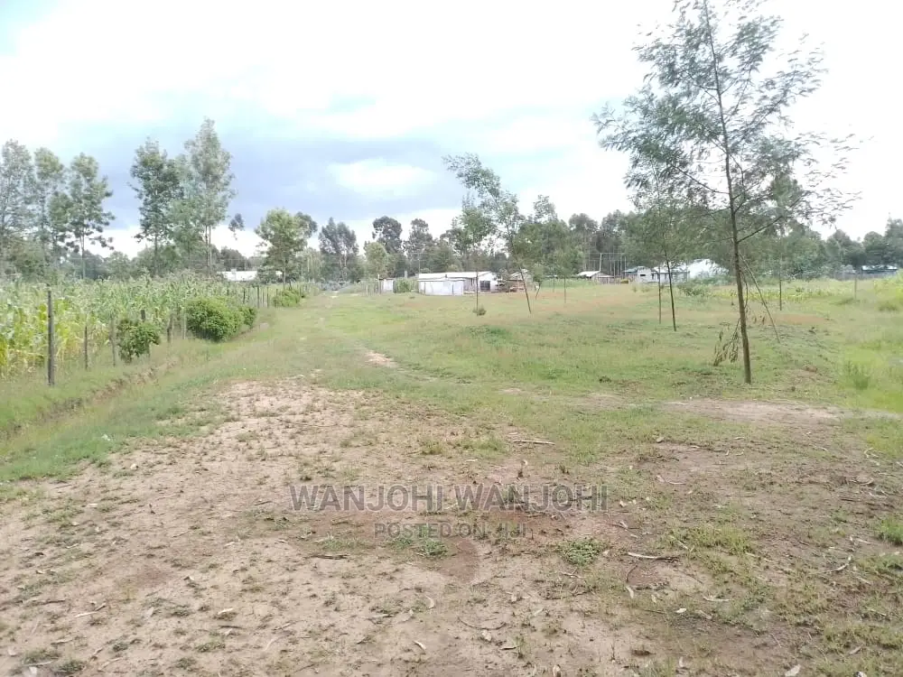 Invest in Prime Properties in Oljoro-Orok Today! in Karau