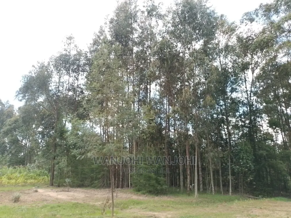 Exclusive Land Plots Available in the Land of Milk and Honey in Nairobi Central