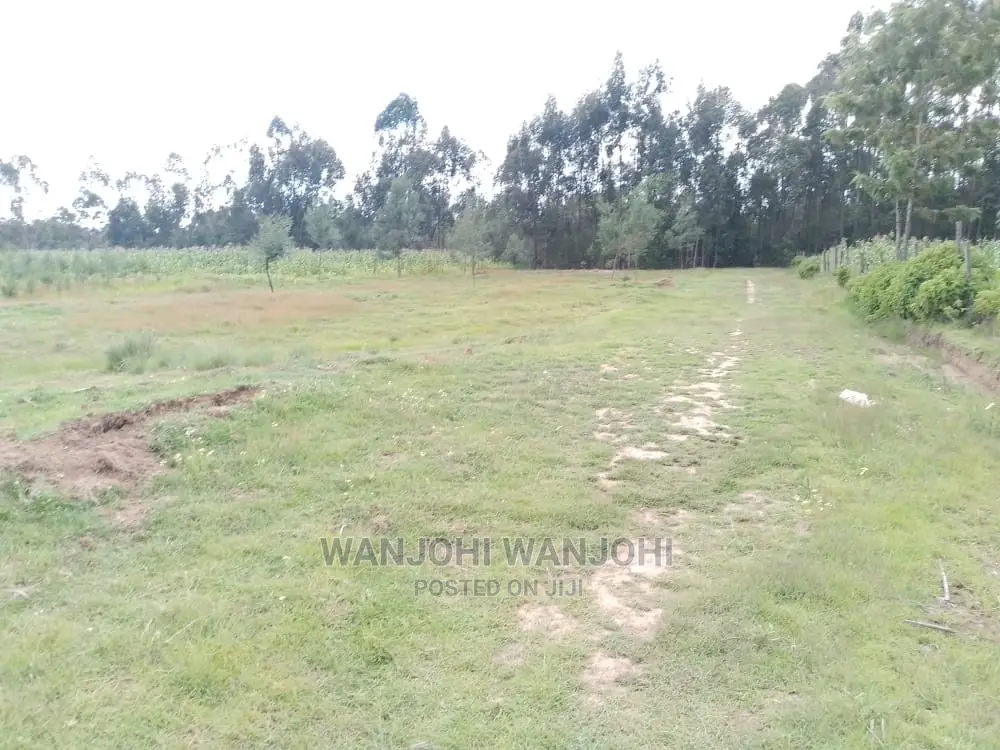 Prime Land Plots for Sale in Prime Locations of Ny in Biashara