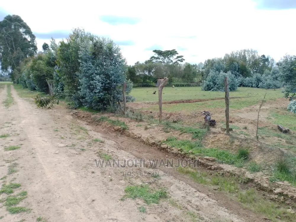 Kasuku Town's Best Real Estate Offerings: Prime Plots in Igwamiti