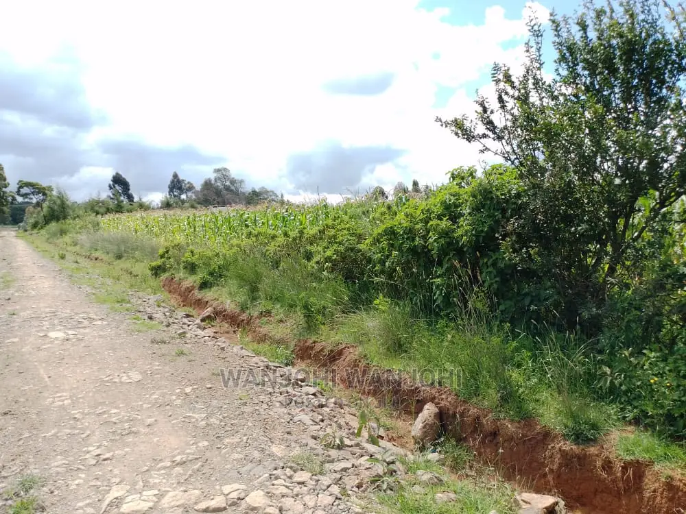 Kasuku Town's Best Real Estate Offerings: Prime Plots in Igwamiti