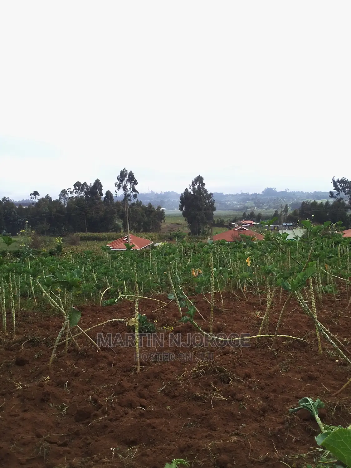 0.75 Acres Uplands ( Nyambari) Lari in Lari/Kirenga