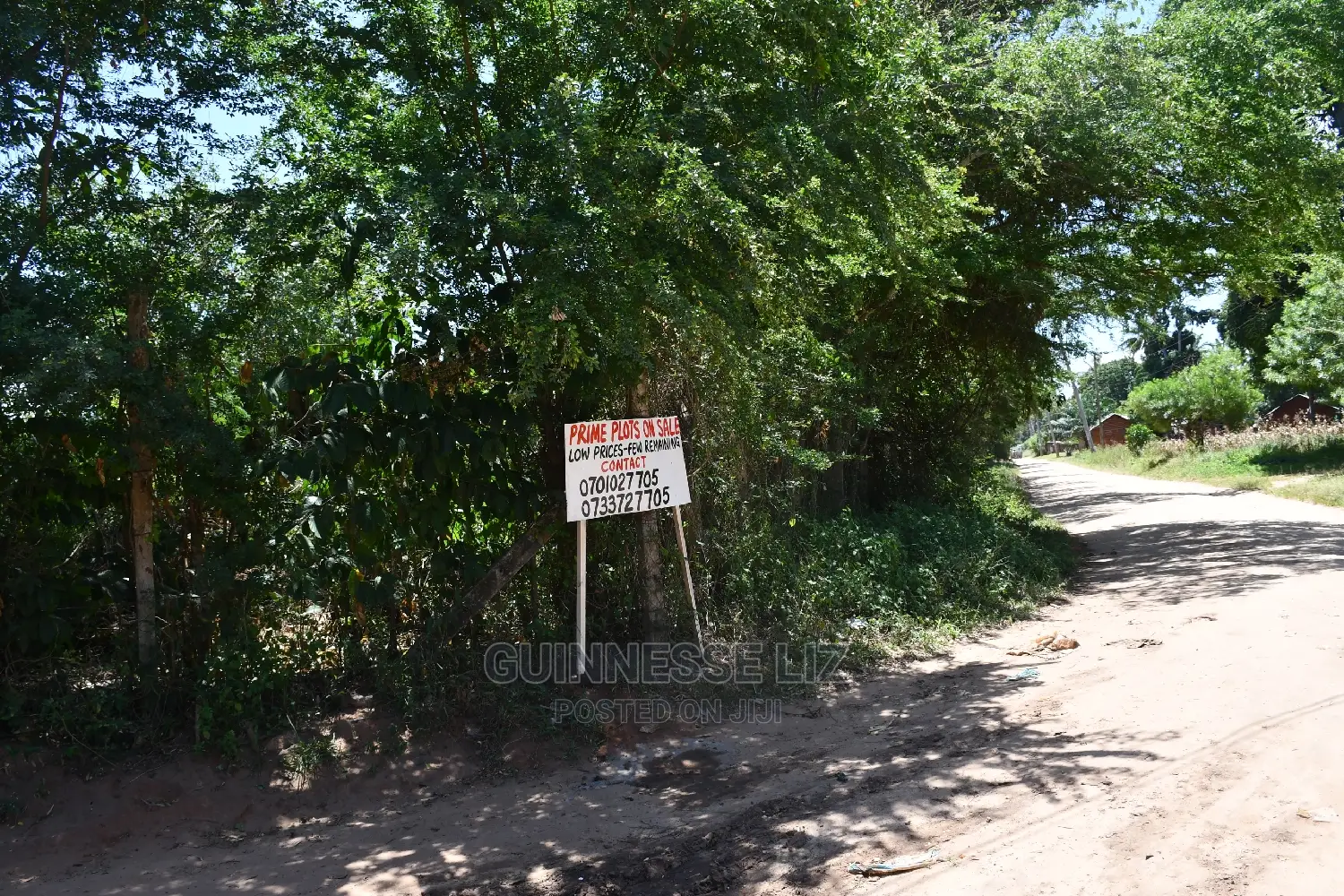 Invest in Kikambala Bomani Prime Beachfront Real Estate in Kilifi North
