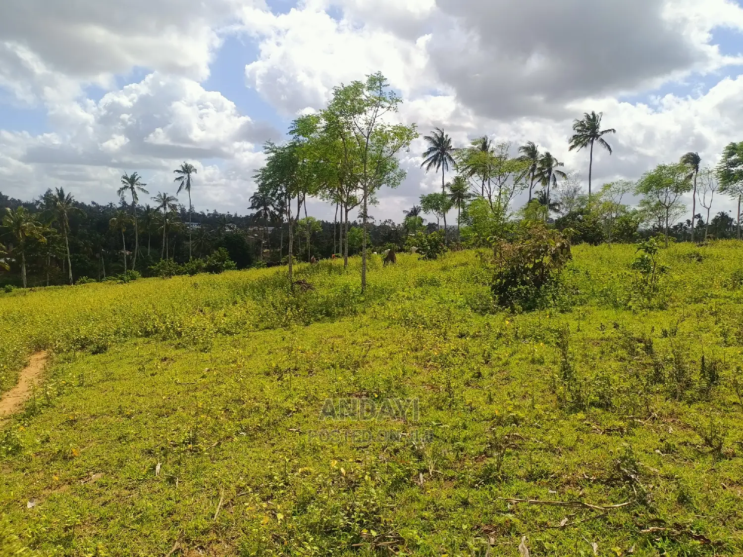 Rabai Land for Sale: Find Your Perfect Parcel Today in Rabai