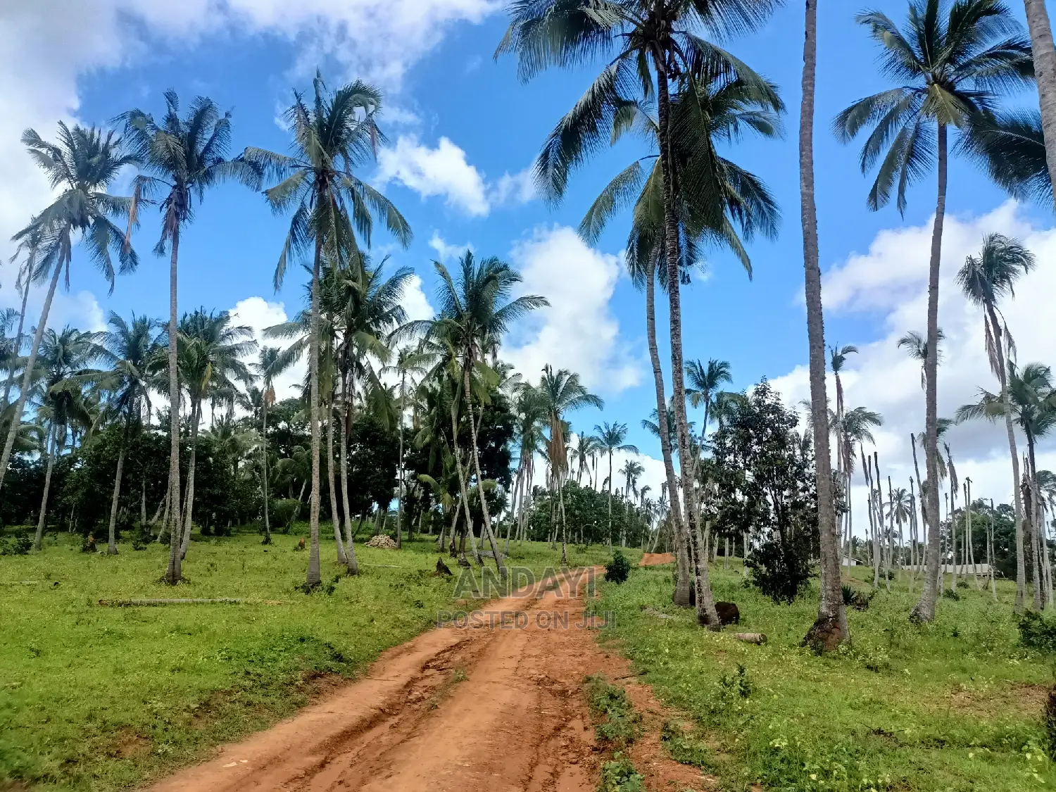 Rabai Land for Sale: Find Your Perfect Parcel Today in Rabai