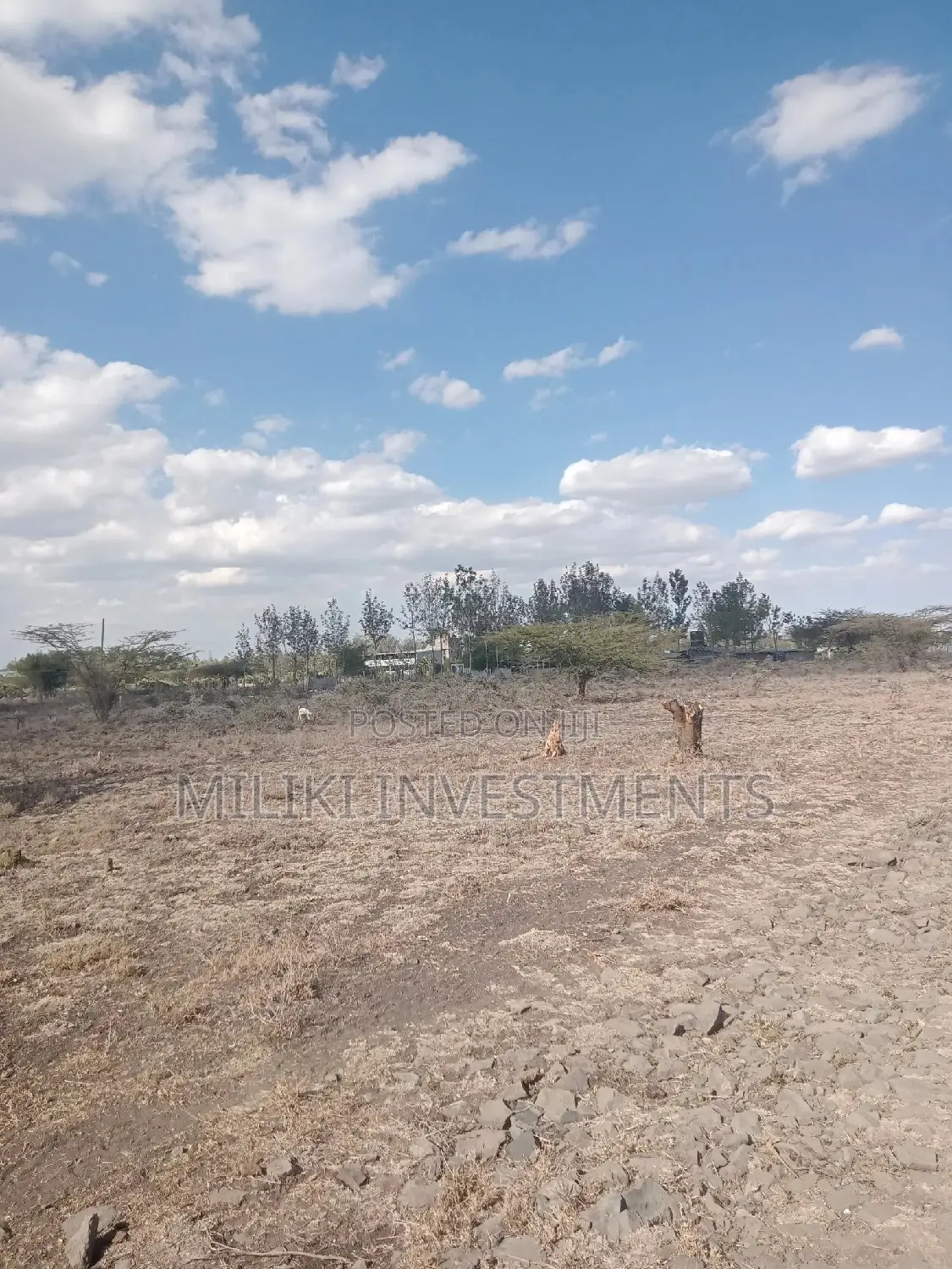 Buy an Acre in Kiserian: Affordable and Lucrative Land Offer in Kiserian
