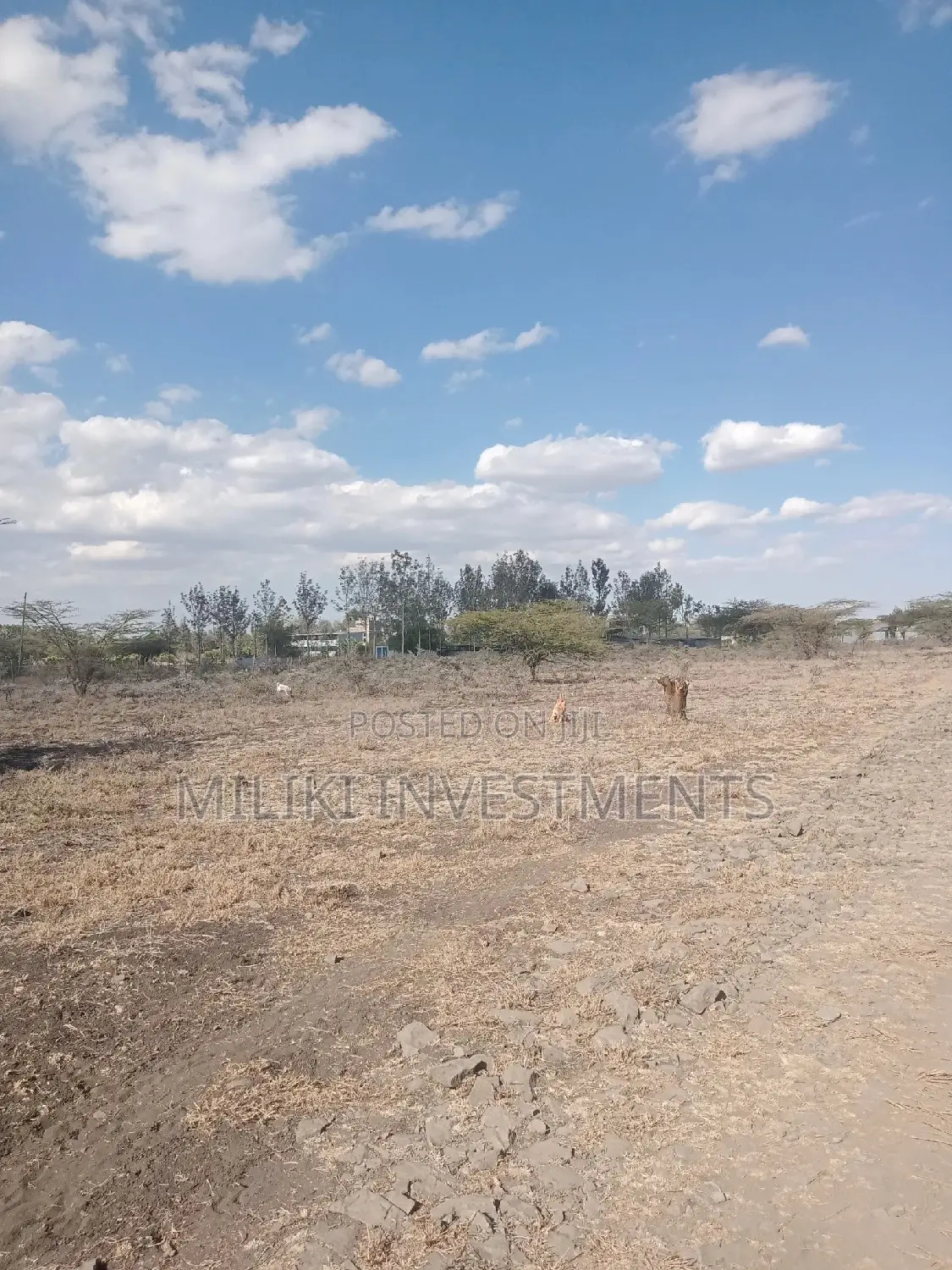 Buy an Acre in Kiserian: Affordable and Lucrative Land Offer in Kiserian