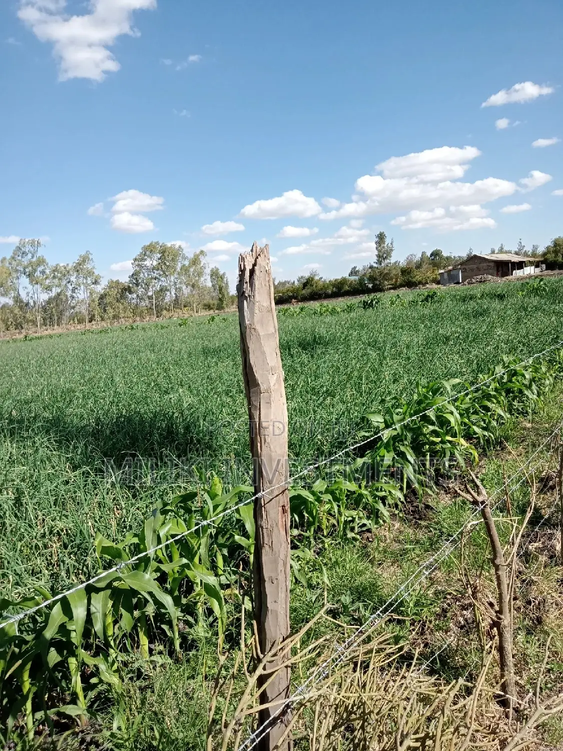 Buy an Acre in Kiserian: Affordable and Lucrative Land Offer in Kiserian