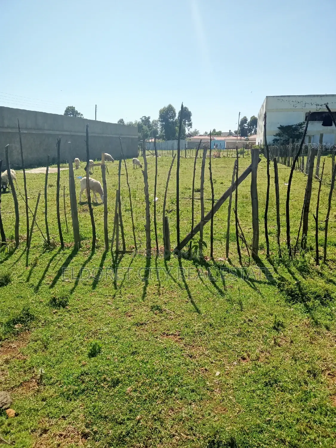Mti Moja 1/8 Plot - Ready Tarmac Access, Ideal Investment in Eldoret CBD