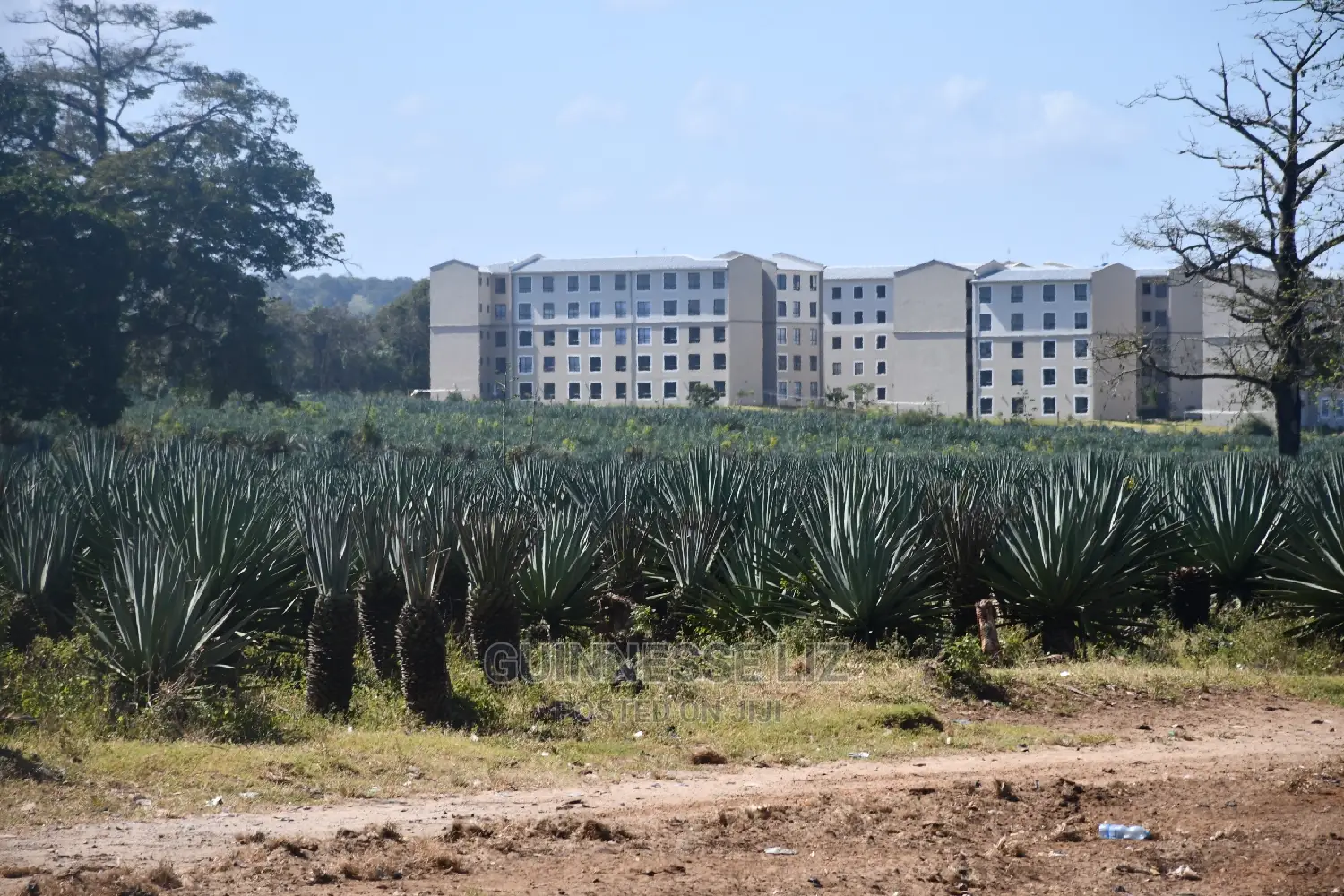Row 2 Beach Plots - Vipingo Prime - Luxury Living in Kilifi North