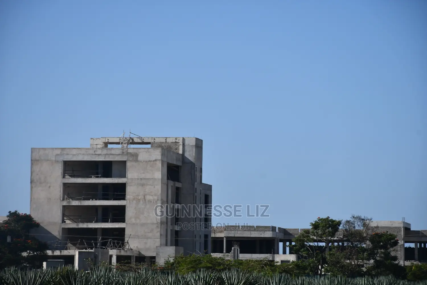 Row 2 Beach Plots - Vipingo Prime - Luxury Living in Kilifi North