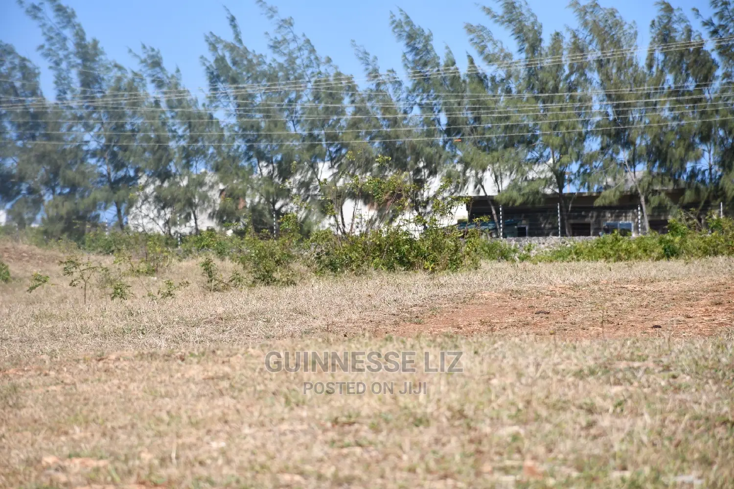 Row 2 Beach Plots - Vipingo Prime - Luxury Living in Kilifi North