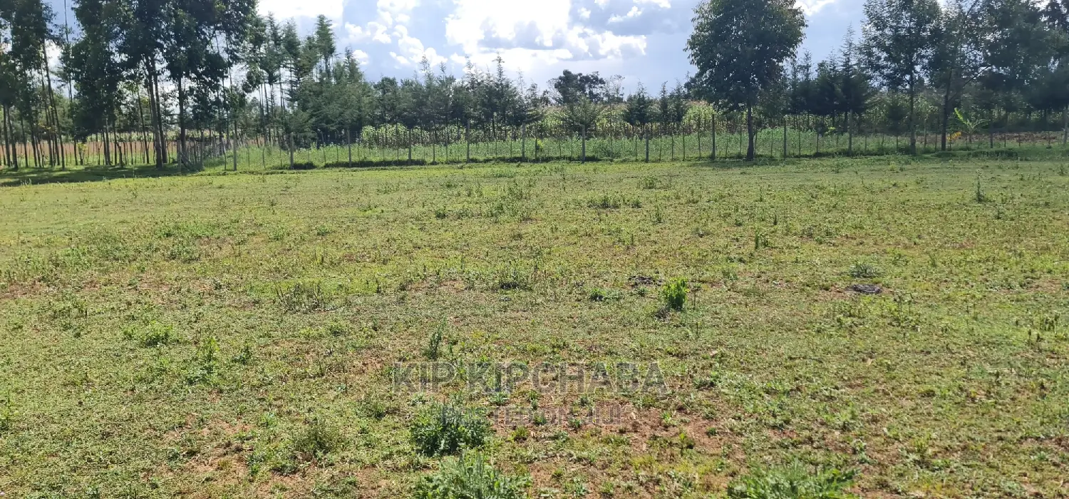 Affordable Plots for Sale in Eldoret Bypass, Cheplasgei in Ngeria