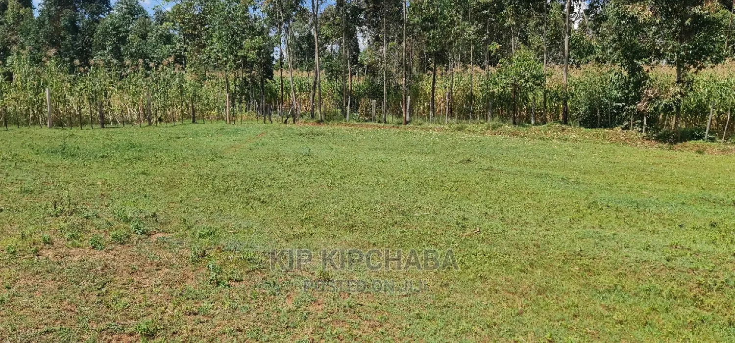 Affordable Plots for Sale in Eldoret Bypass, Cheplasgei in Ngeria