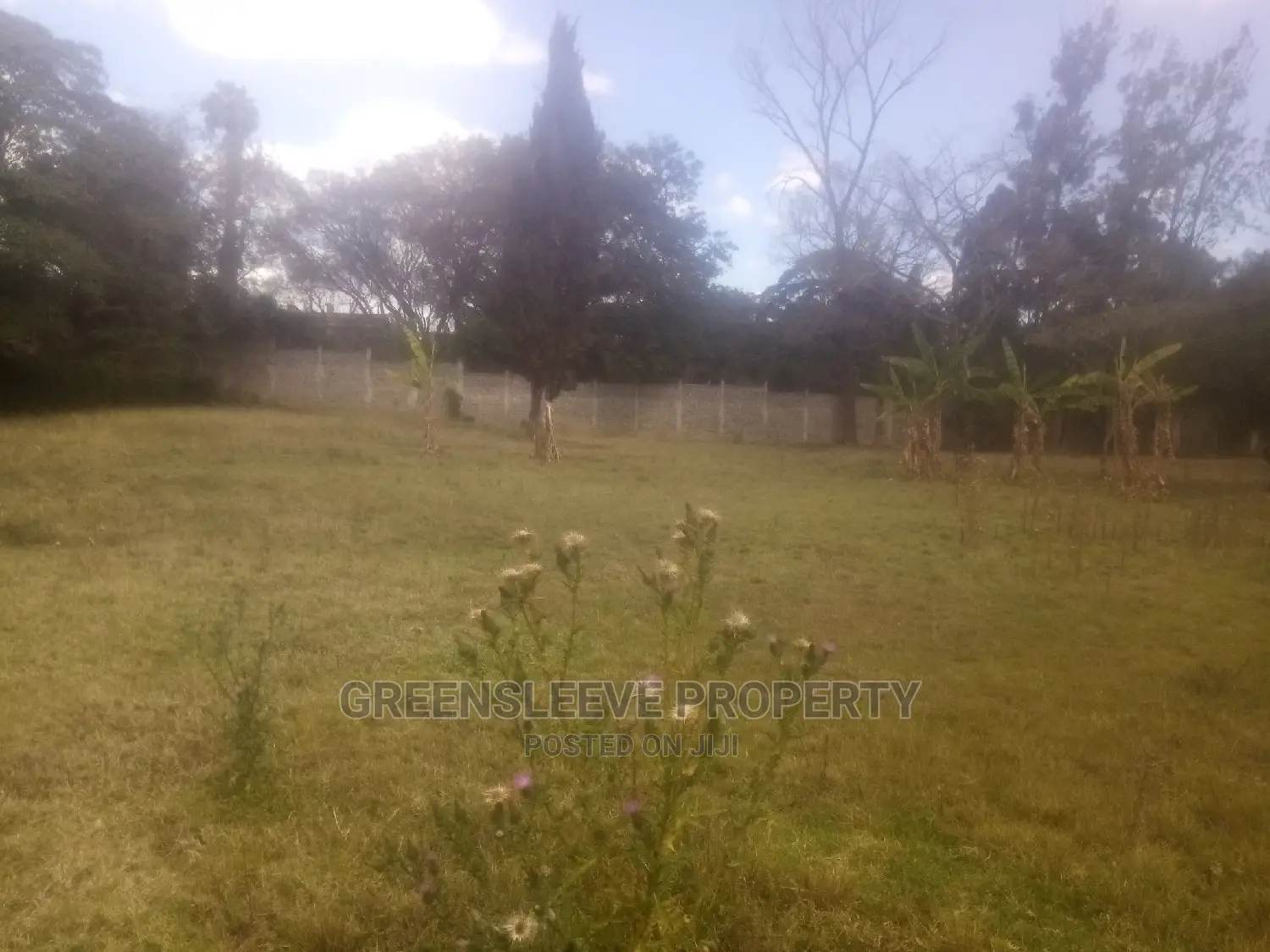 Half Acre for Sell in Karen