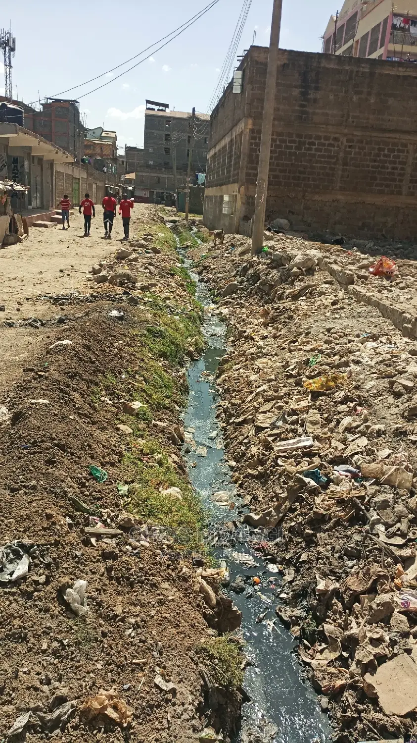 Prepared Title: Perfect for Your Needs in Githurai