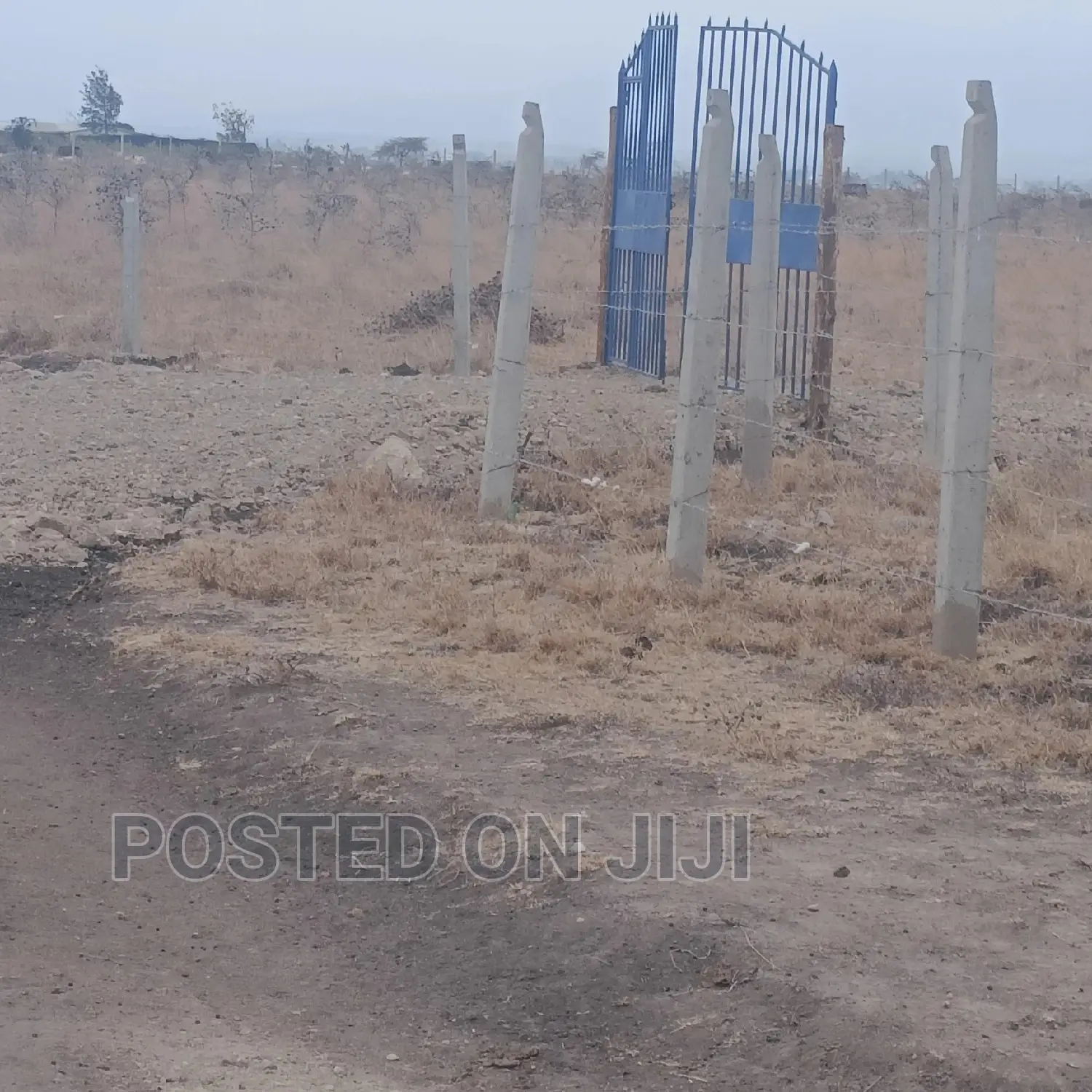 Cheap Plots in Kantafu in Koma Hills Area