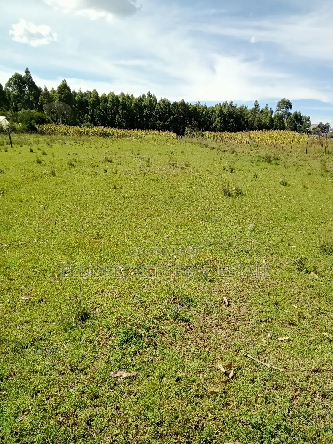 Rolyton Land: 1/2 Acre Near Madonna, UK - For Sale Today in Eldoret CBD