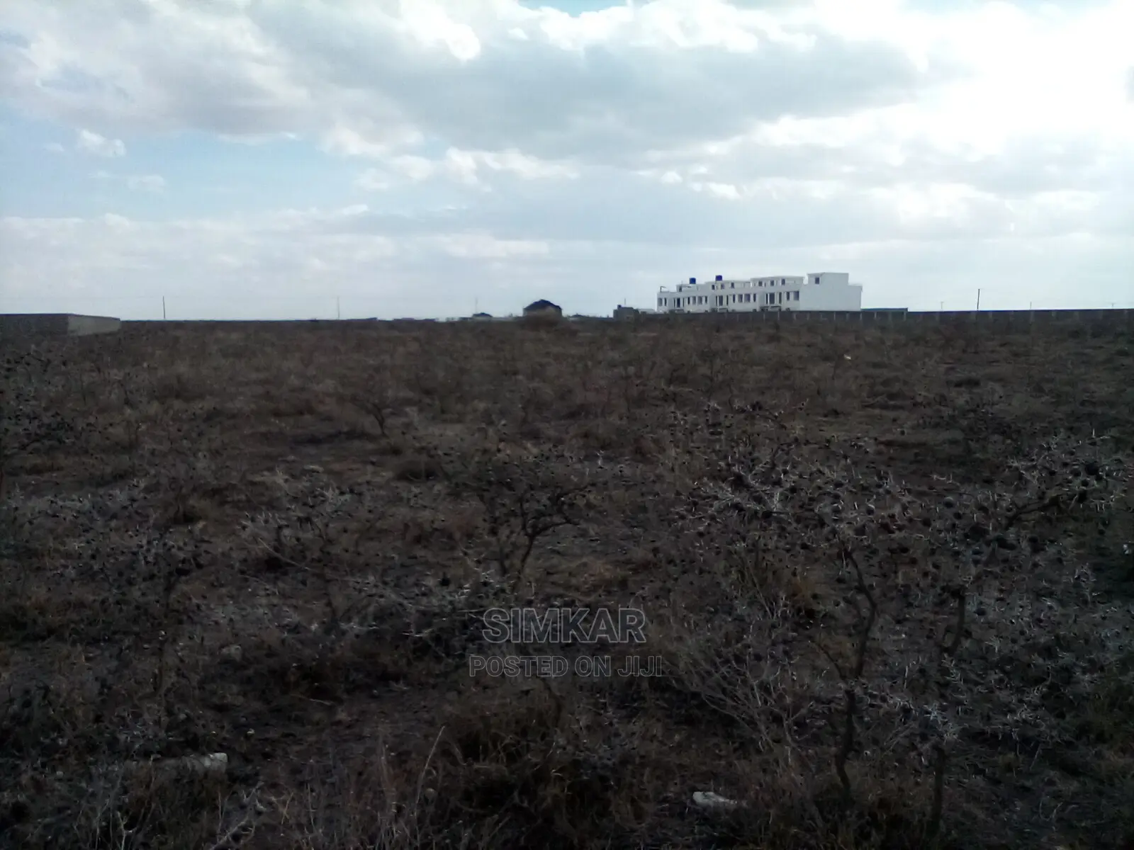 Affordable 1/4-Acre Plots in Katani/Mulinge Scheme in Viraj Area