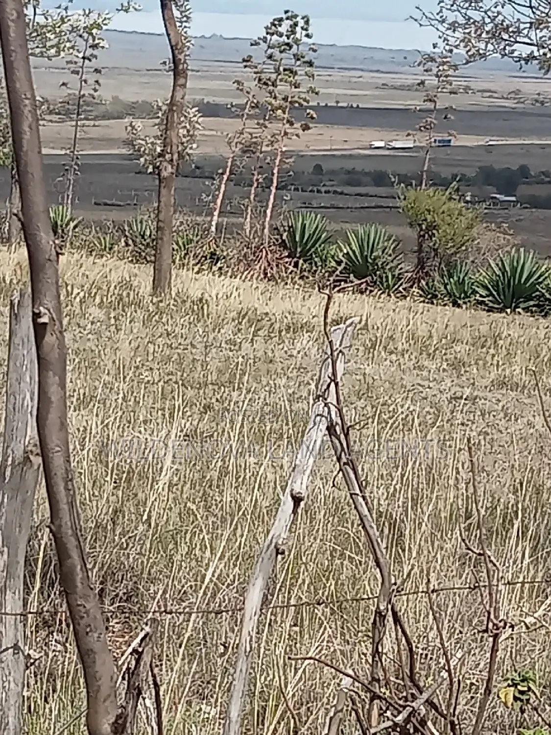 Bargain 5-Acre Land Offer in Longonot, Naivasha - Don't Miss Out! in Mirera