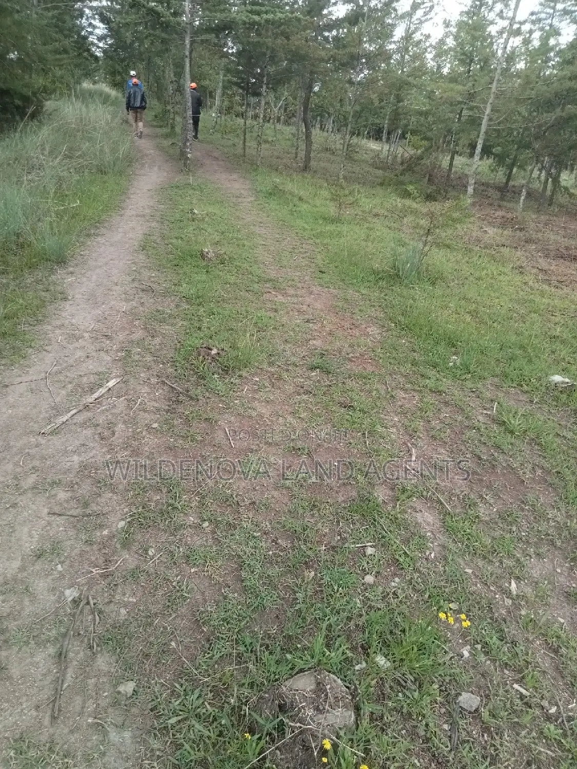 5-Acre Plot for Sale in Kinangop Murungaru: Affordable Land Investment Opportunity in North Kinangop