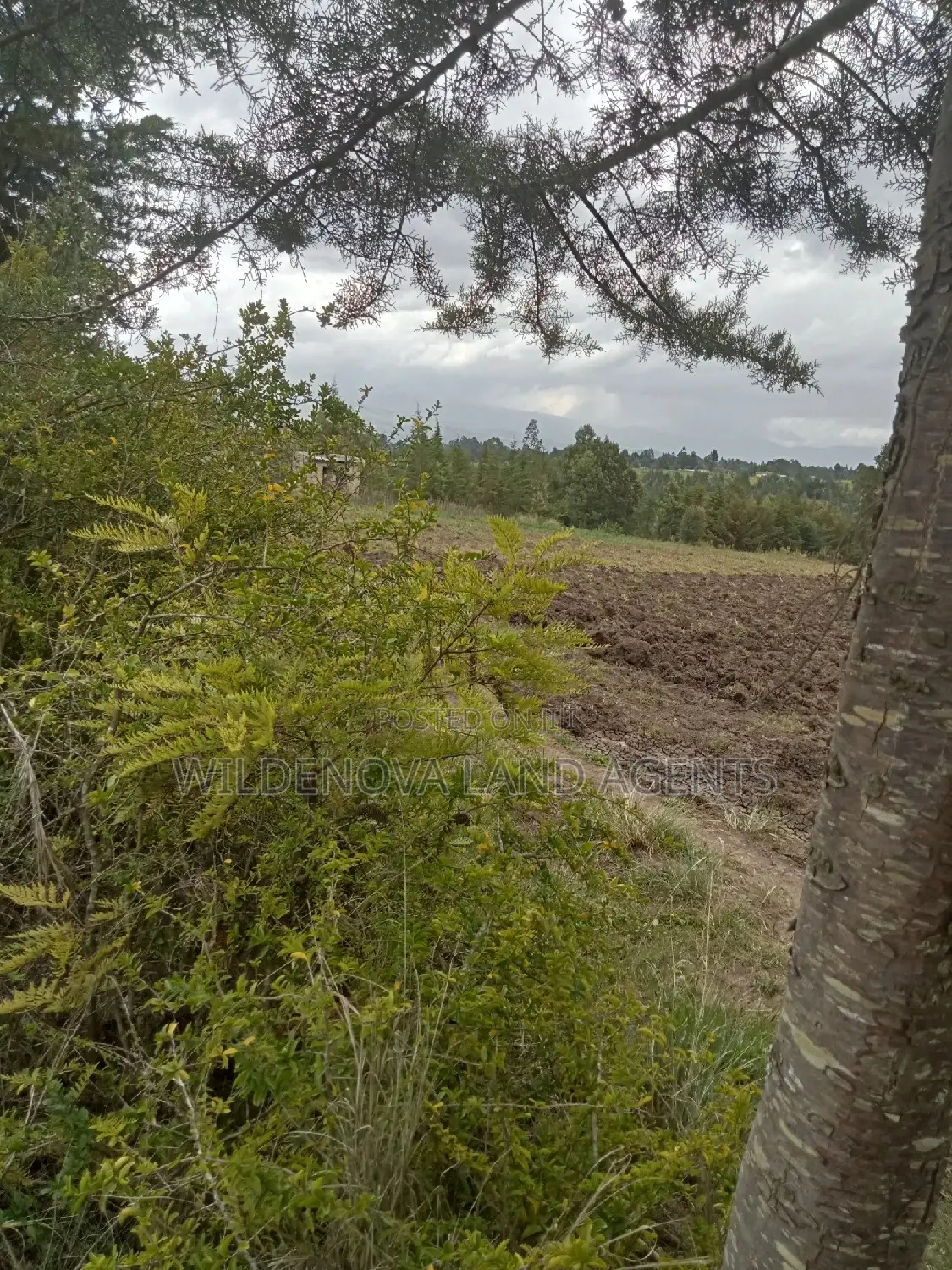 5-Acre Plot for Sale in Kinangop Murungaru: Affordable Land Investment Opportunity in North Kinangop