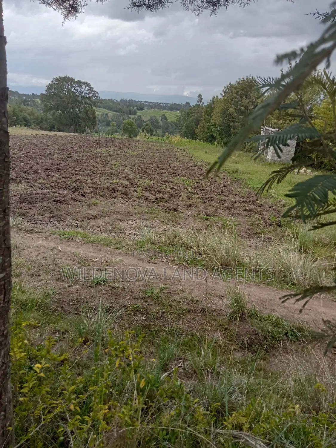5-Acre Plot for Sale in Kinangop Murungaru: Affordable Land Investment Opportunity in North Kinangop